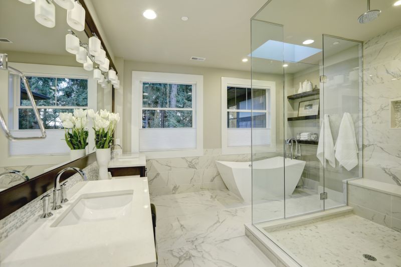 Custom Shower and Tub Area